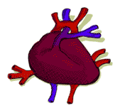 img6.gif
