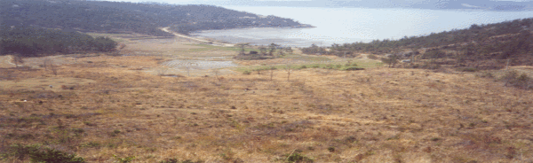 img6.gif