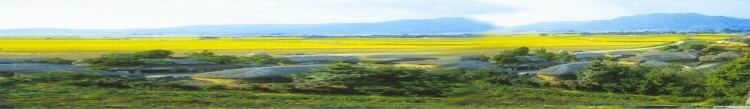 s4.jpg