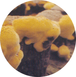 img2.jpg
