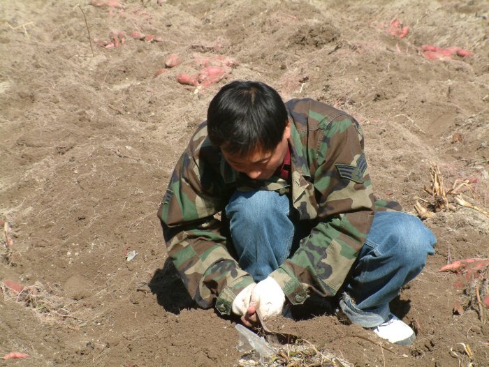 Dscf0029.jpg