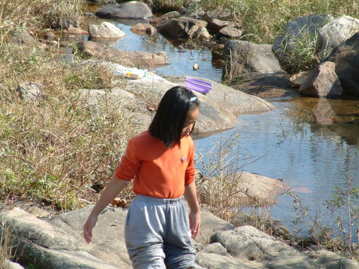 Dscf0051.jpg