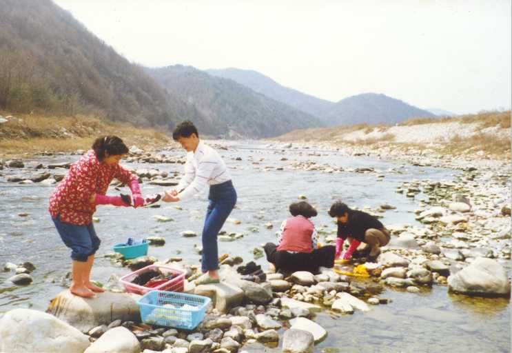 s69.jpg