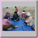 work-093.jpg