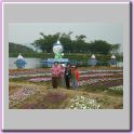 work-095.jpg
