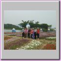 work-096.jpg